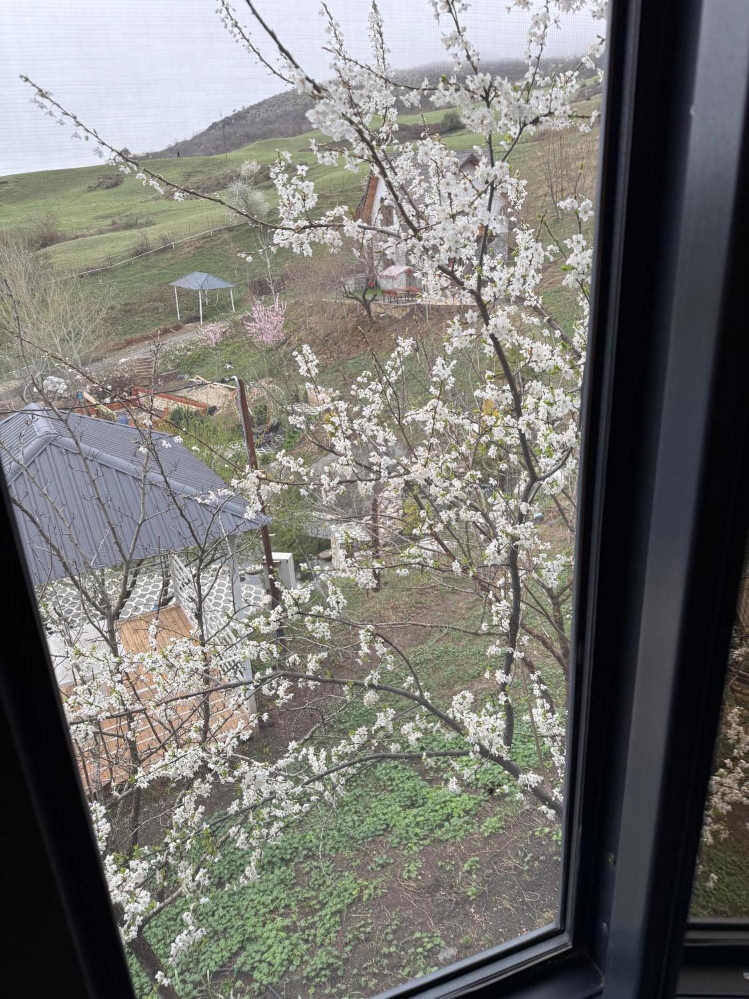 Qizil Farel Villa Ismayilli Szoba fotó